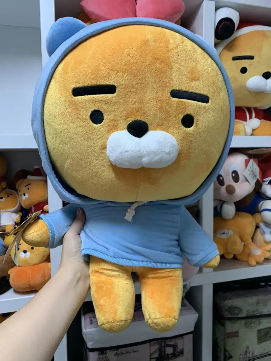 후드 라이언 / 리본 라이언 / 산타 라이언 인형 (60cm)